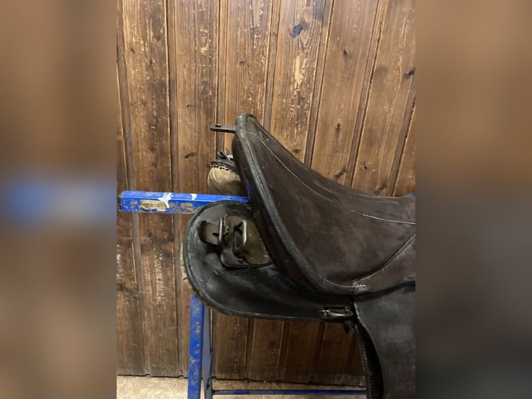 Bocksattel - Kavallerie Armeesattel - Wehrmacht englischer Sattel zu verkaufen