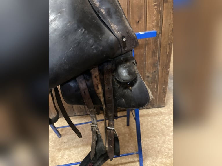 Bocksattel - Kavallerie Armeesattel - Wehrmacht englischer Sattel zu verkaufen