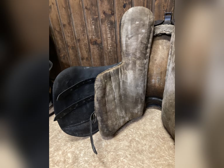 Bocksattel - Kavallerie Armeesattel - Wehrmacht englischer Sattel zu verkaufen