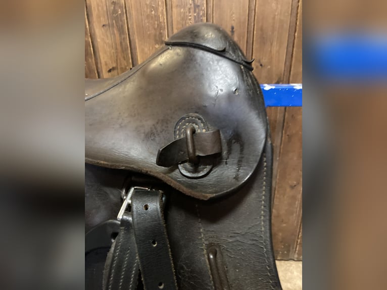 Bocksattel - Kavallerie Armeesattel - Wehrmacht englischer Sattel zu verkaufen
