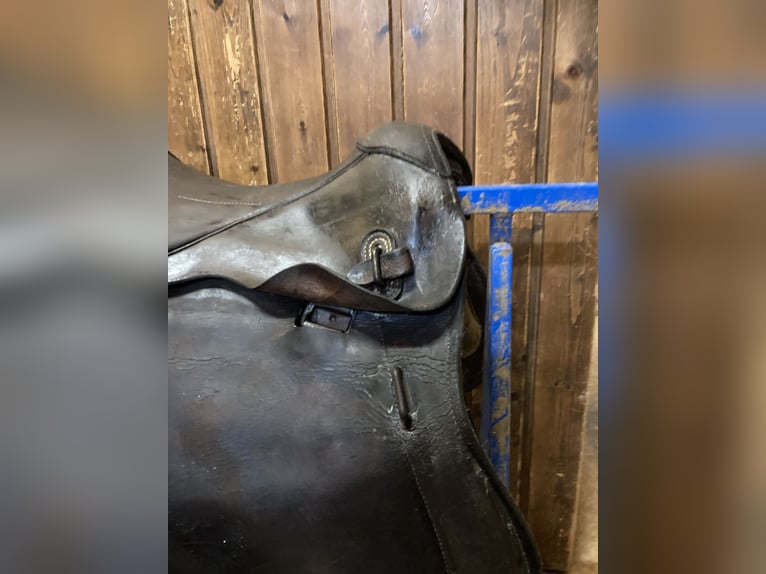 Bocksattel - Kavallerie Armeesattel - Wehrmacht englischer Sattel zu verkaufen