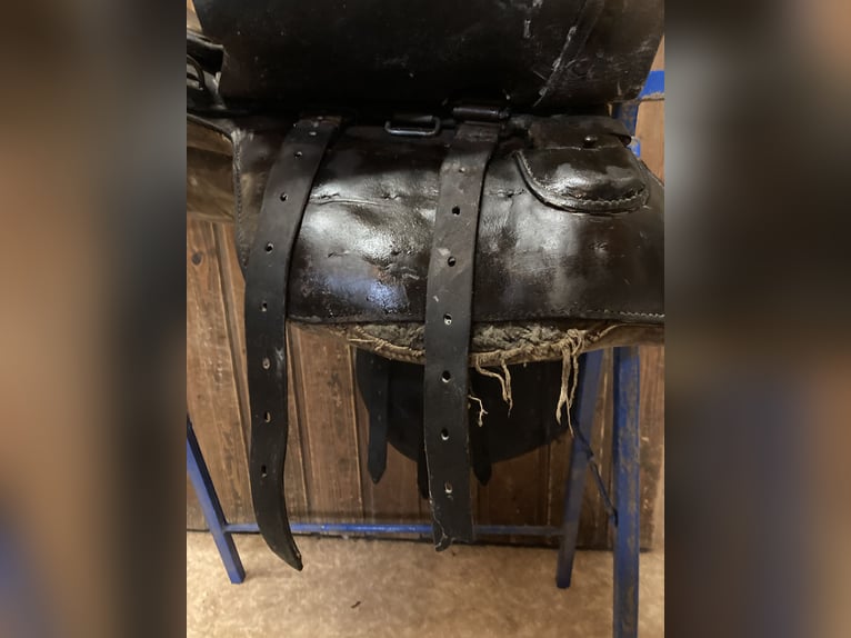 Bocksattel - Kavallerie Armeesattel - Wehrmacht englischer Sattel zu verkaufen
