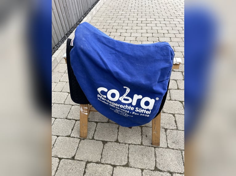 COBRA Wanderreitsattel NEUWERTIG