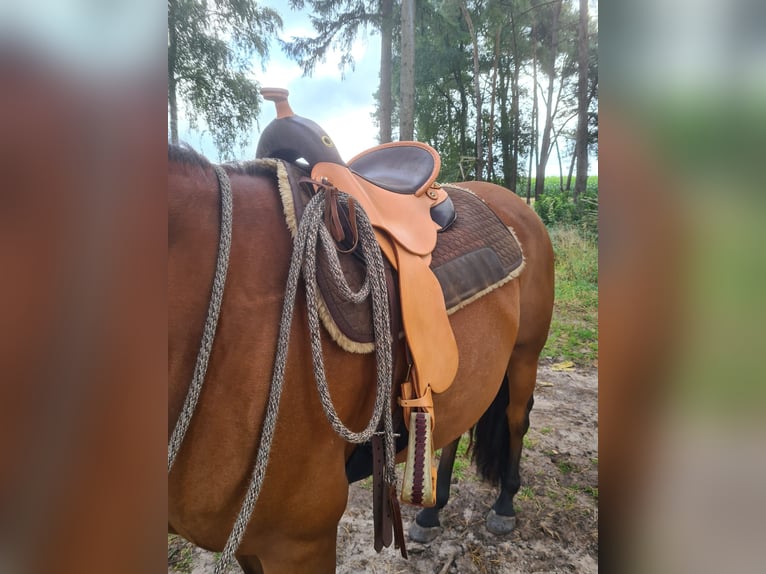 DEUBER DISTANZSATTEL "QUANTUM SHORT & LIGHT WESTERN" S1