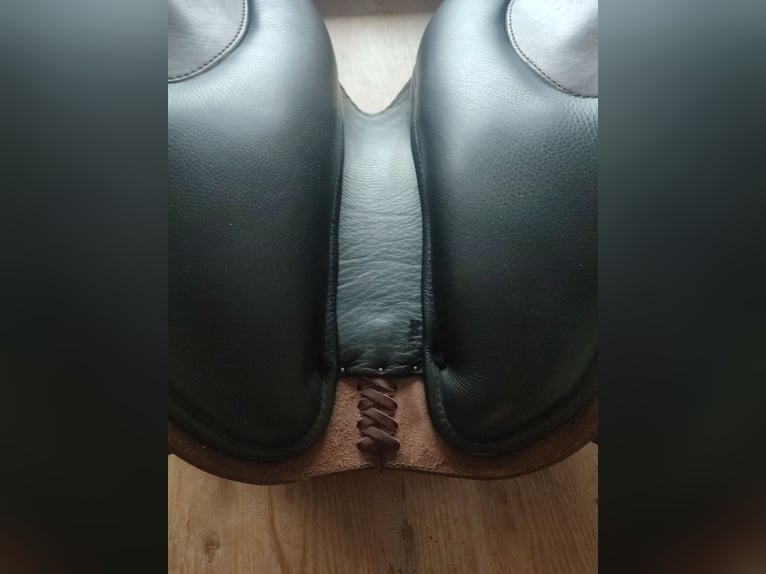 Deuber El Campo SKL Shorty S3 Schmuckstück 