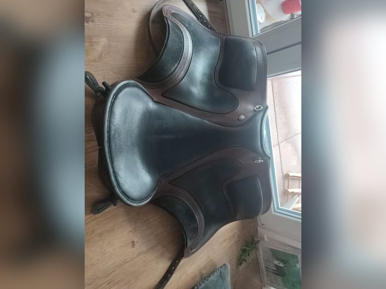 Deuber El Campo SKL Shorty S3 Schmuckstück 
