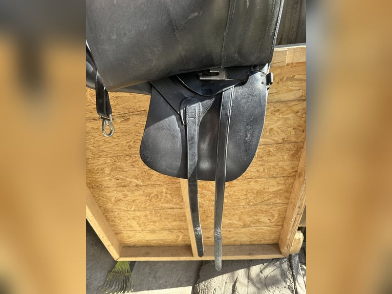 Dressur-/Wanderreitsattel Sommer Remos X cross dressage