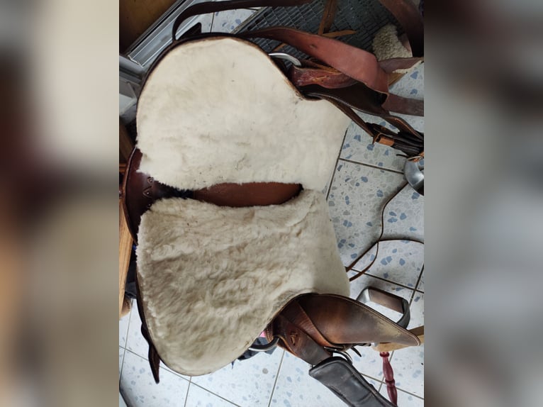 El Sueno Westensattel 