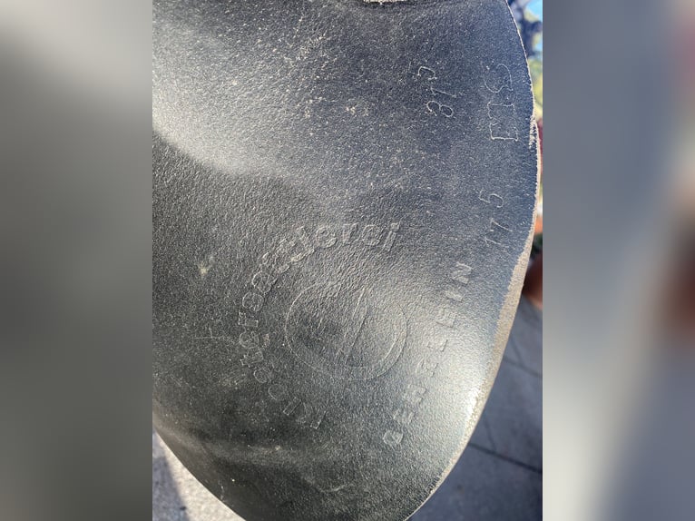 Hochwertiger Sommer Distanz- und Wanderreitsattel