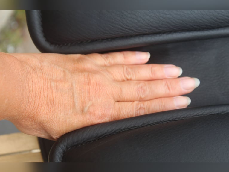 KIEFFER TRAIL Trekking / endurance  Saddle New !!!