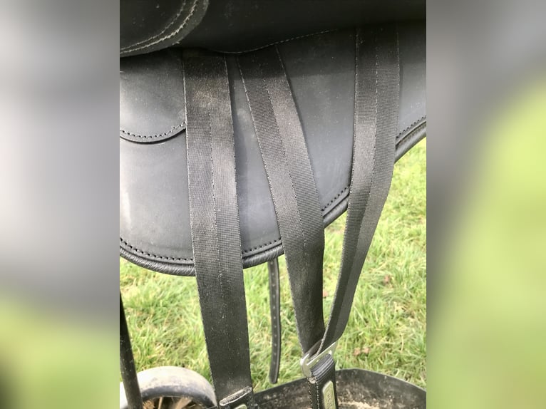 Kieffer Trekk Vario   Sattel  Trekkingsattel  Wanderreitsattel