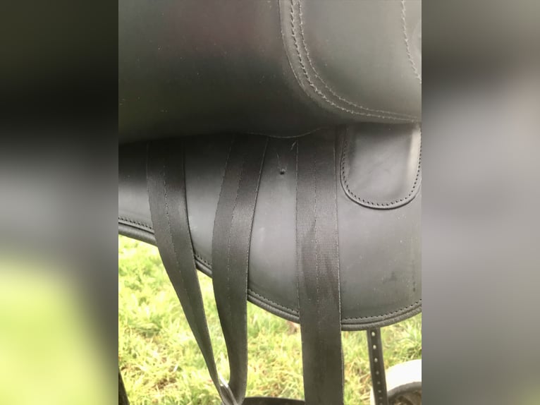 Kieffer Trekk Vario   Sattel  Trekkingsattel  Wanderreitsattel