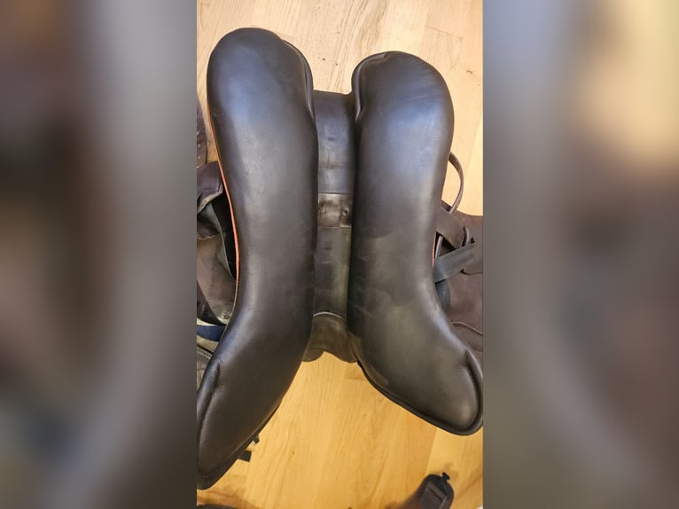 Prestige Sattel, Prestige Atena, Wanderreitsattel, Sattel mit Horn