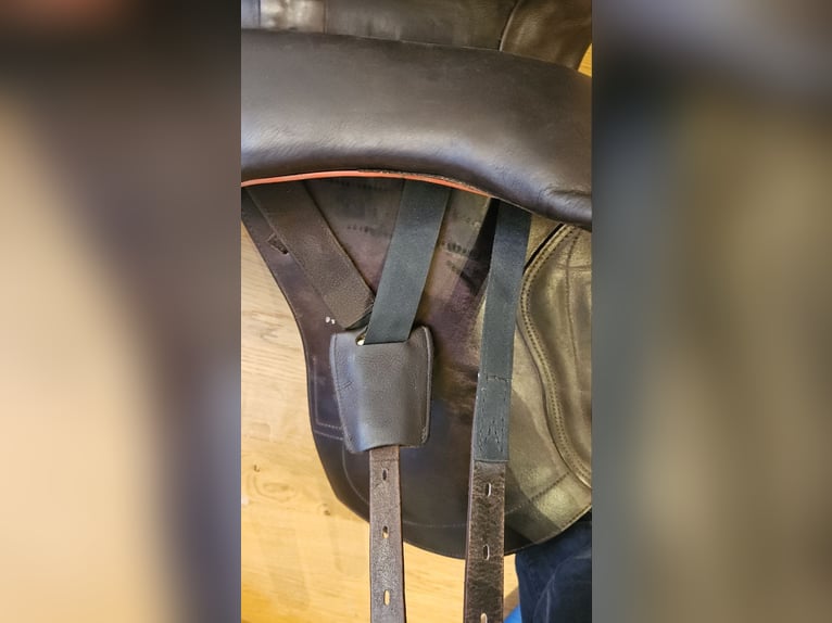 Prestige Sattel, Prestige Atena, Wanderreitsattel, Sattel mit Horn