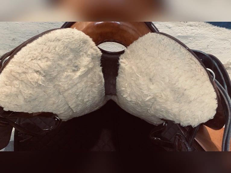 Rieser Endurance Sattel Wanderreitsattel