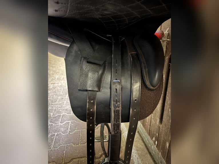 Sommer Adventure –  in Top-Zustand zu verkaufen!