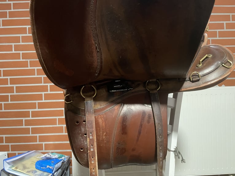 Sommer Evolution Wanderreit-Sattel