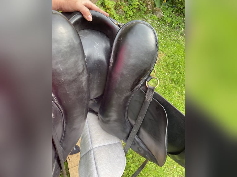 Sommer Evolution Wanderreitsattel