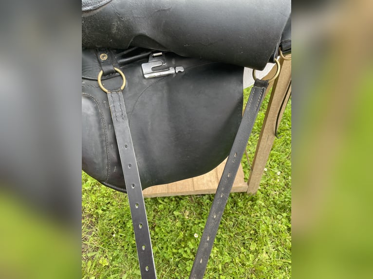 Sommer Evolution Wanderreitsattel