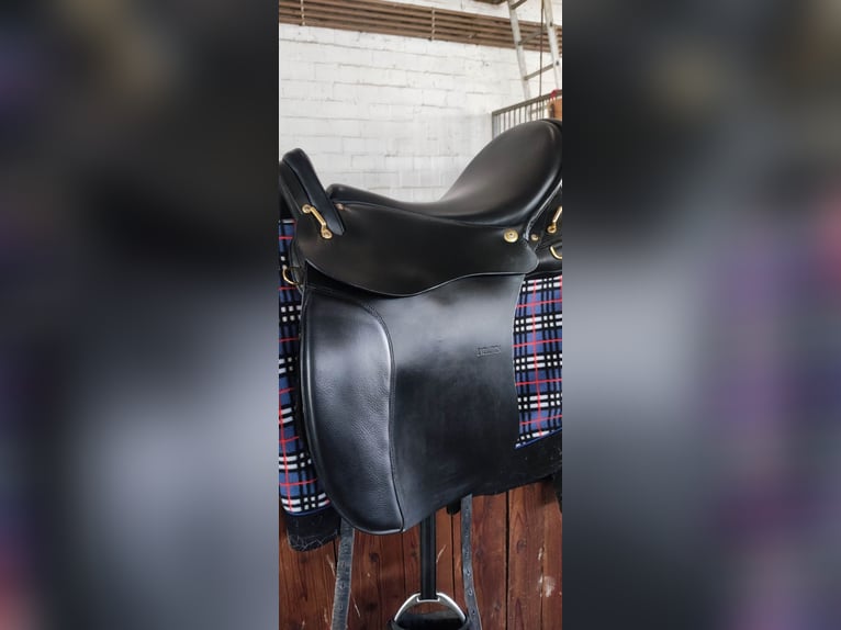 Top gepflegter Sommer Wanderreitsattel Evolution Dressur 