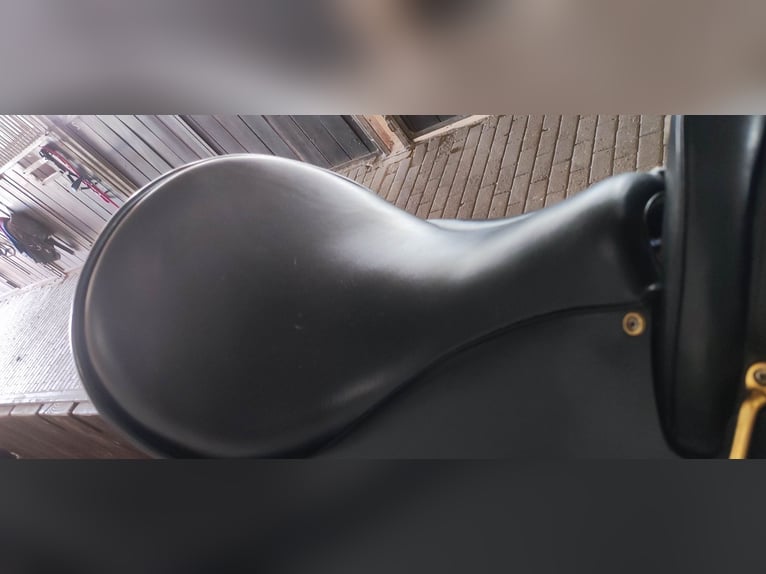 Top gepflegter Sommer Wanderreitsattel Evolution Dressur 