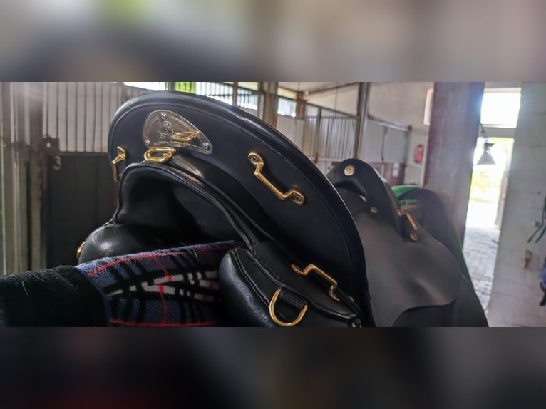 Top gepflegter Sommer Wanderreitsattel Evolution Dressur 