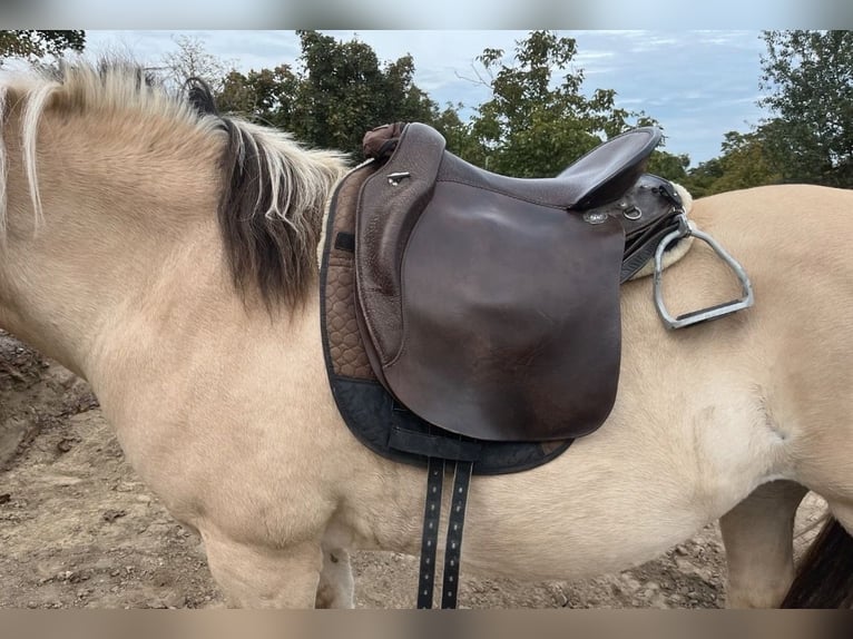 Way Out West Crossover Sattel, Wanderreiten/Dressur