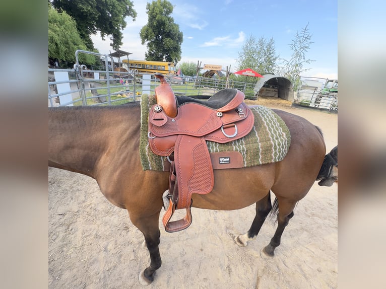 16" Westernsattel zu verkaufen 