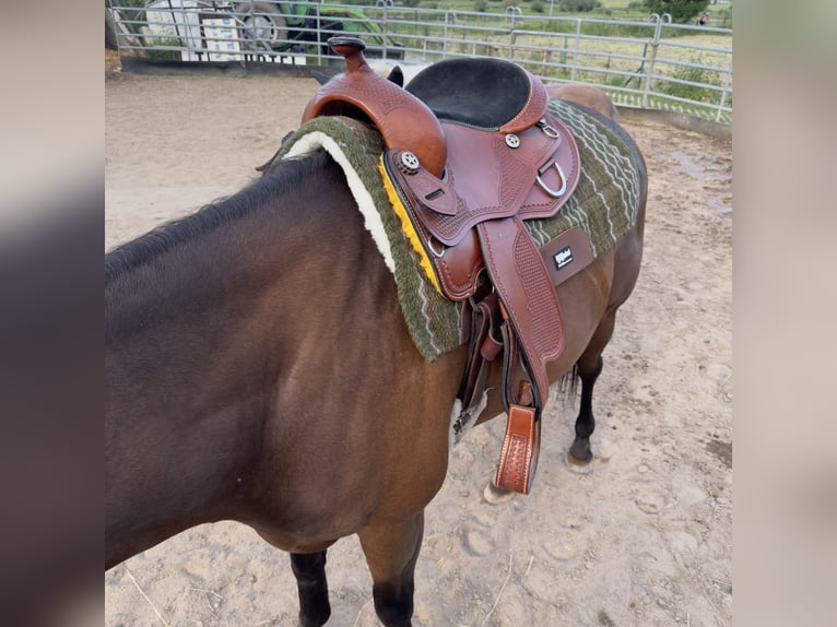 16" Westernsattel zu verkaufen 