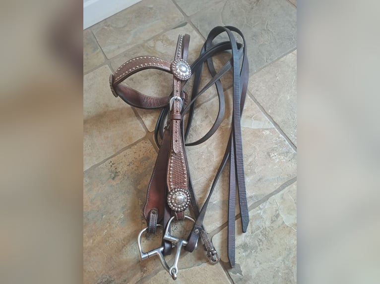 4 H Westernsattel 17,5 Zoll mit Trense und Vorderzeug