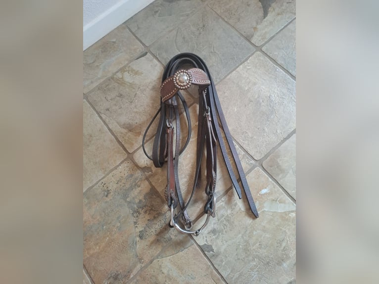 4 H Westernsattel 17,5 Zoll mit Trense und Vorderzeug