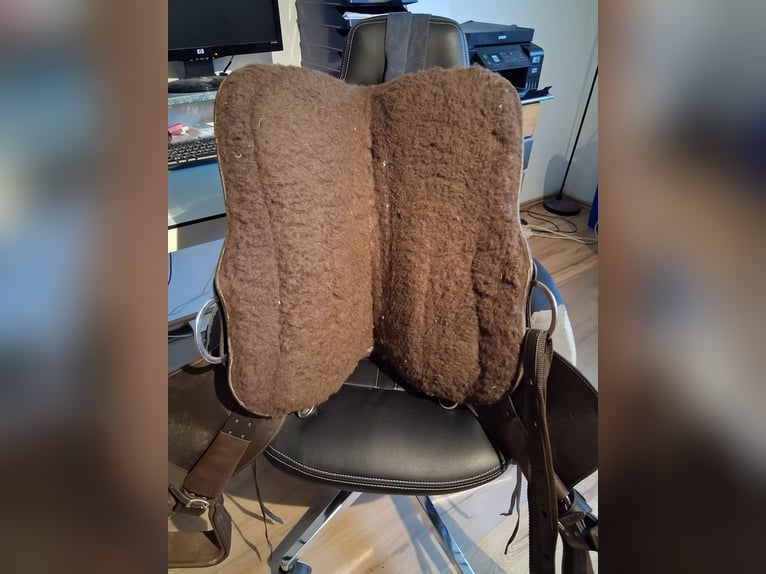 Barefoot Arizona Nut