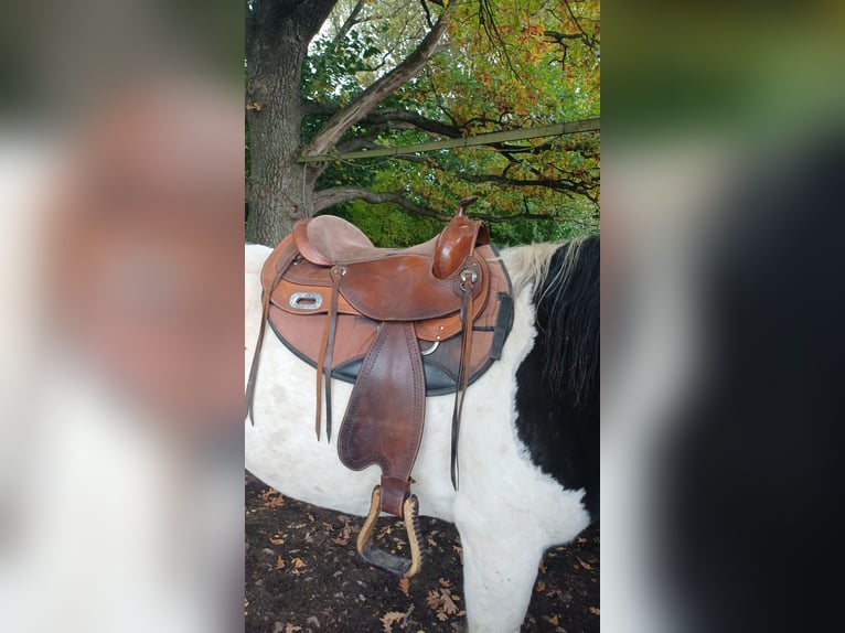 Baumloser Westernsattel Silverado