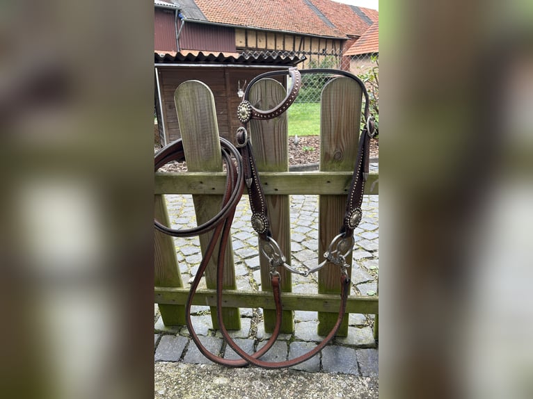 Big Horn Sattel Roundskirt für breite Pferde auch als Set