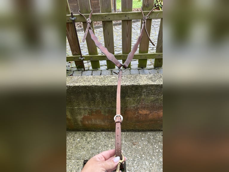 Big Horn Sattel Roundskirt für breite Pferde auch als Set