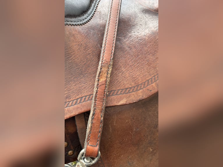 Big Horn Sattel Roundskirt für breite Pferde auch als Set
