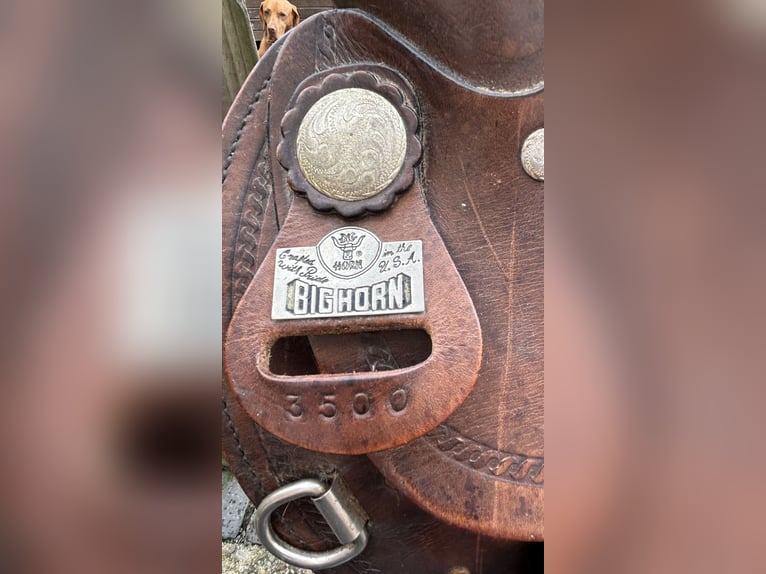 Big Horn Sattel Roundskirt für breite Pferde auch als Set