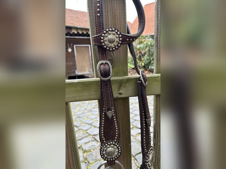 Big Horn Sattel Roundskirt für breite Pferde auch als Set