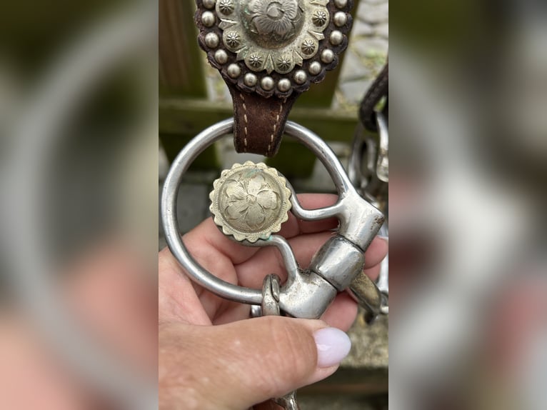 Big Horn Sattel Roundskirt für breite Pferde auch als Set