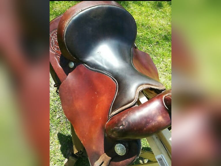 Big Horn Westernsattel