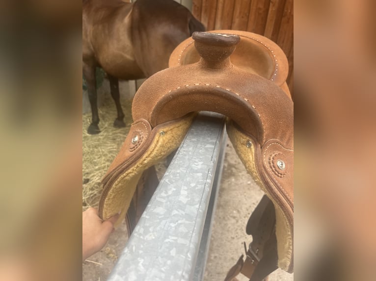 Blue Ribbon Rough Out Westernsattel