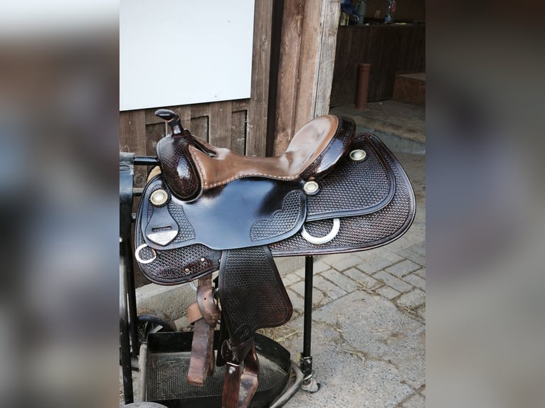 Bob's Lady Reiner 16"