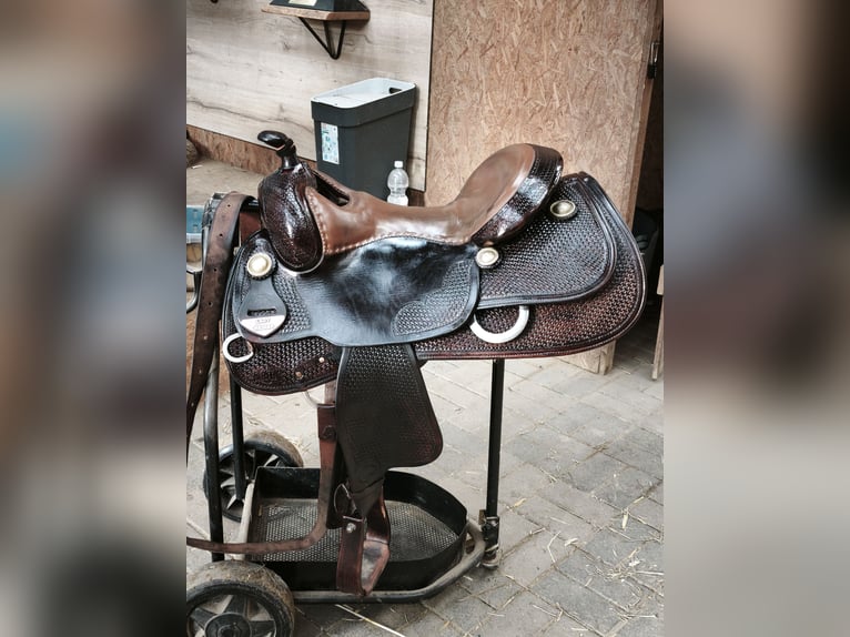 Bob's Lady Reiner 16"