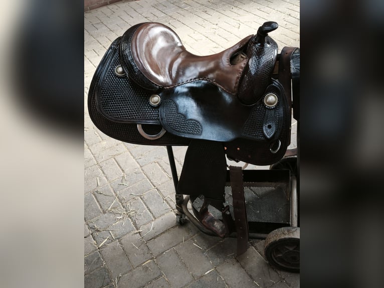 Bob's Lady Reiner 16"