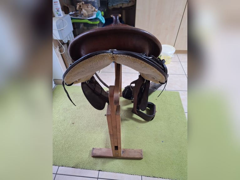 Circle Y Equitation