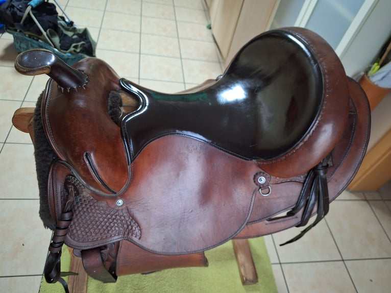 Circle Y Equitation