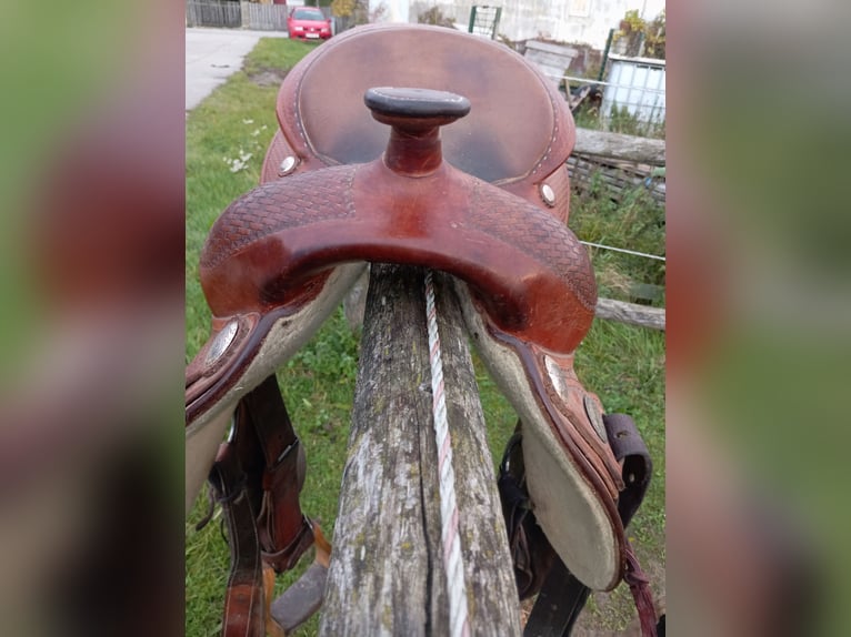 Continal Equiflex Full Quarter 