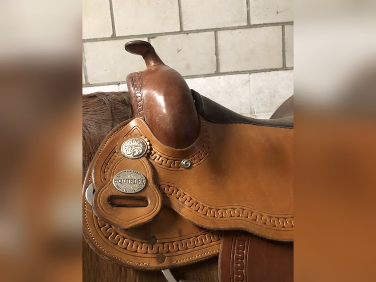 Continental Equiflex