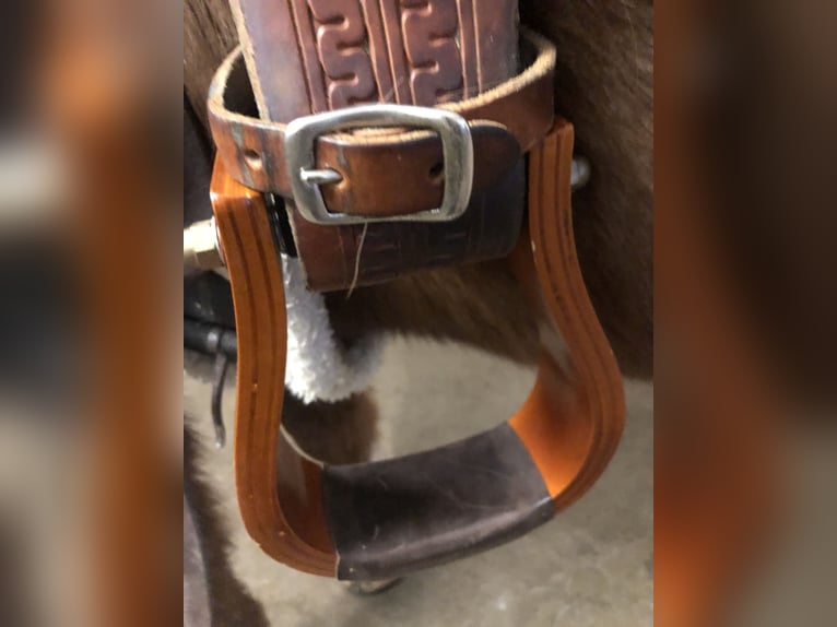 Continental Equiflex