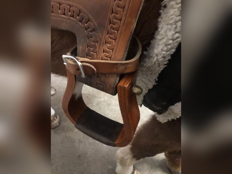 Continental Equiflex